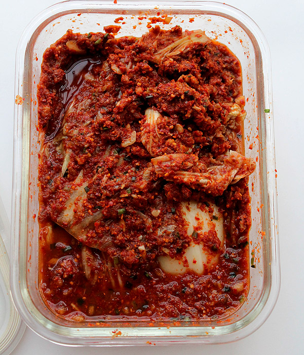 Homemade Kimchi – China Sichuan Food