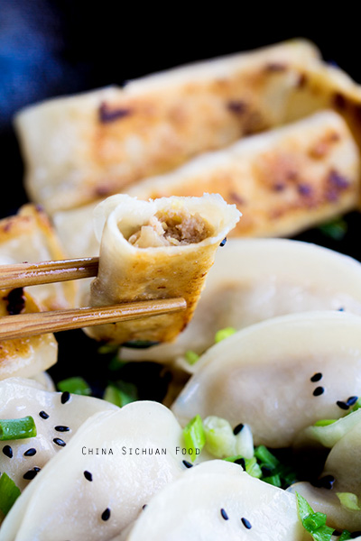 Chinese Cabbage Potstickers