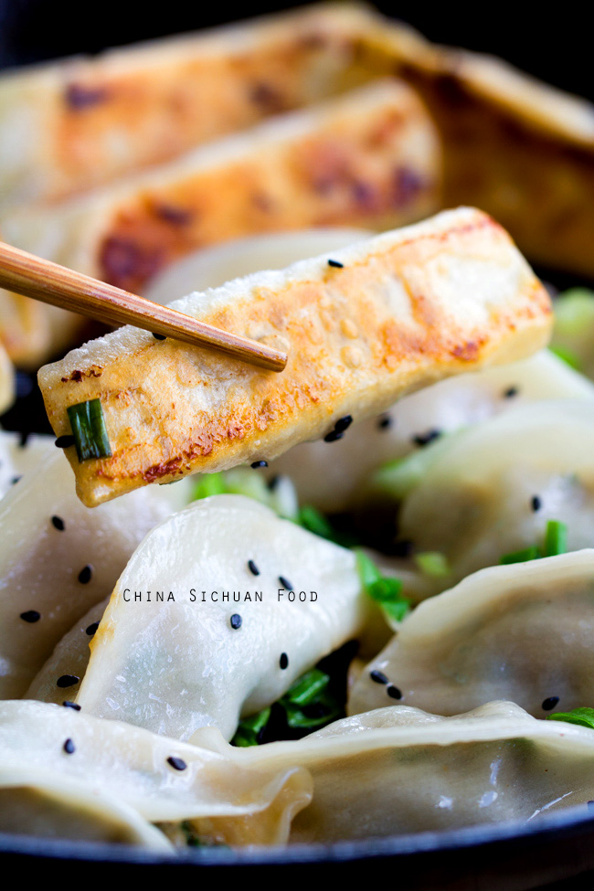 Chinese Cabbage Potstickers