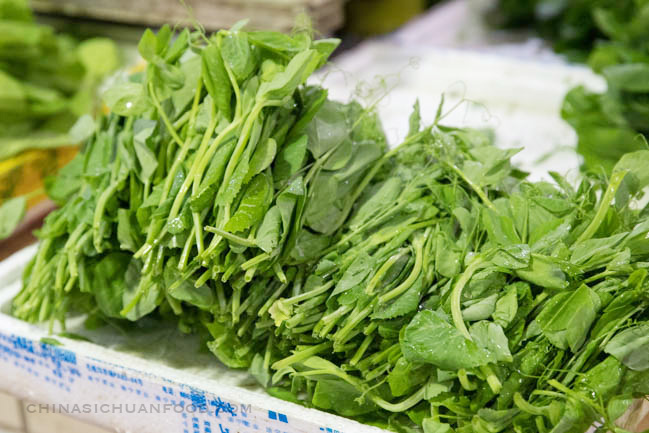 snow pea leaves|chinasichuanfood.com