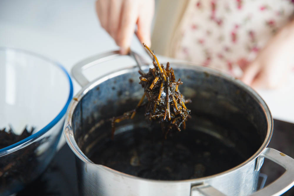 making grass jelly from the grass jelly plant|chinasichuanfood.com