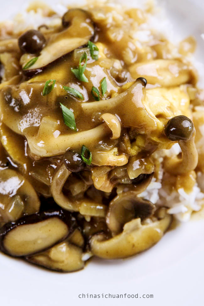 mushroom curry over rice |chinasichuanfood.com