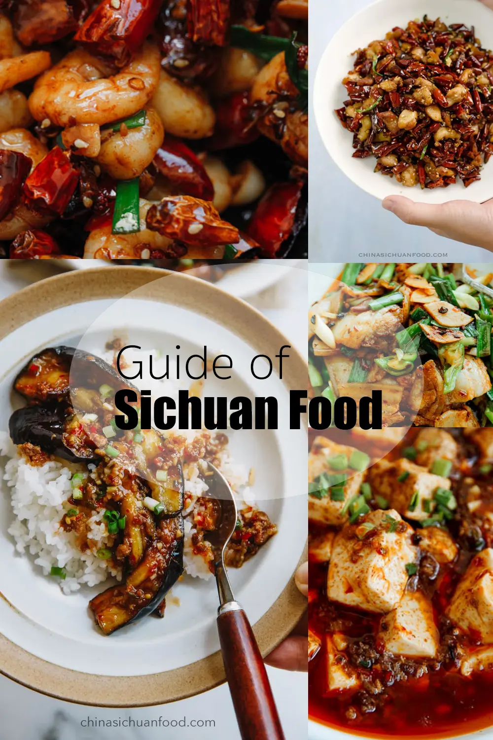 Sichuan Food|chinasichuanfood.com