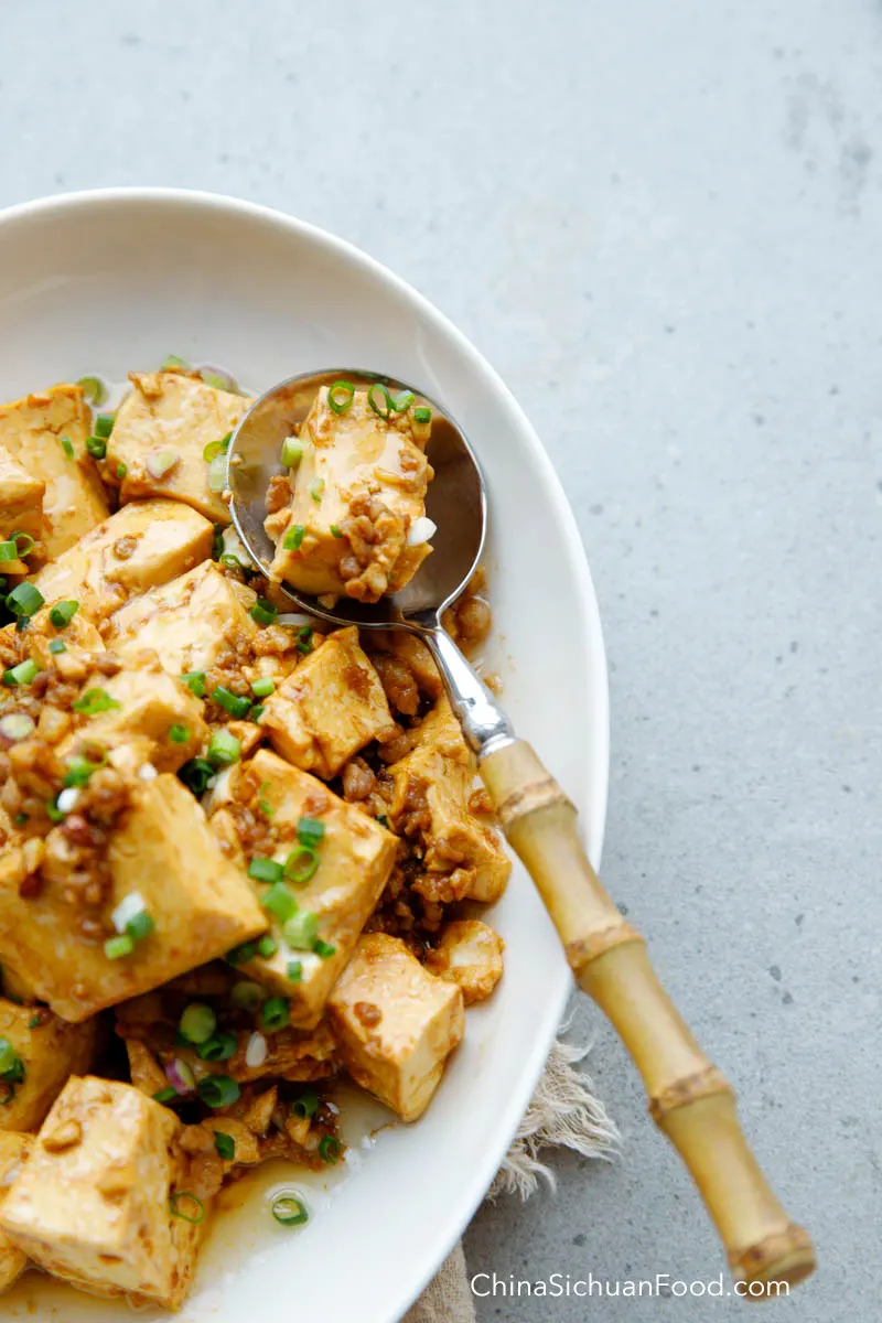 braised tofu with minced pork|chinasichuanfood.com