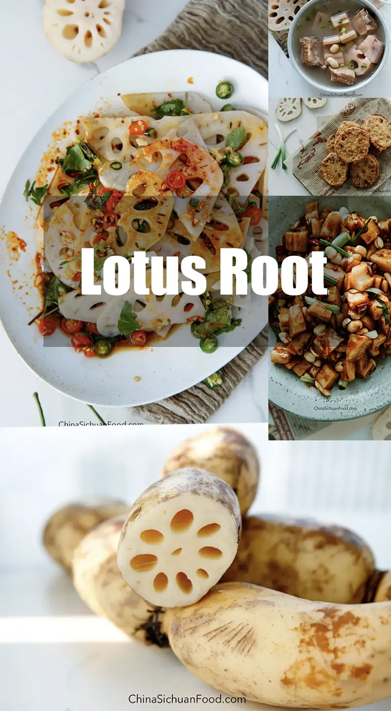 lotus root |chinasichuanfood.com