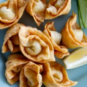 deep fried wonton|china sichuan food