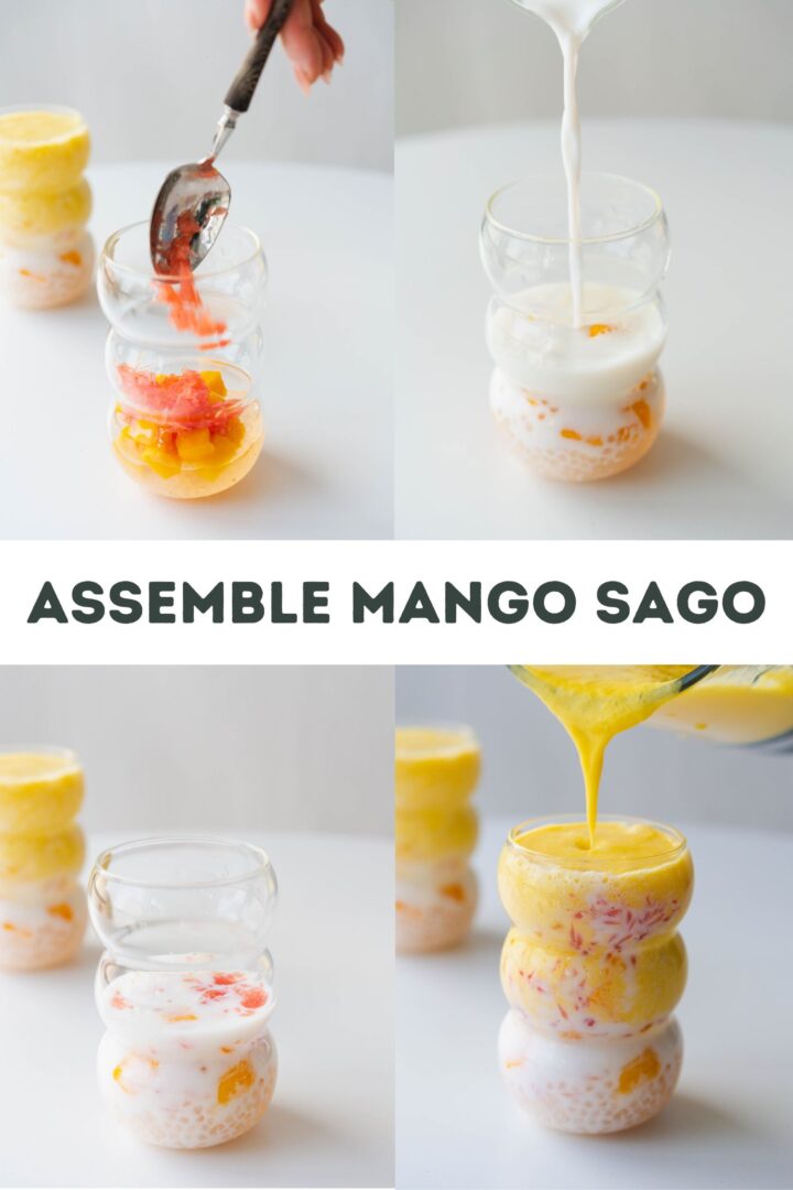 Mango Mixture Mango sago – China Sichuan Food