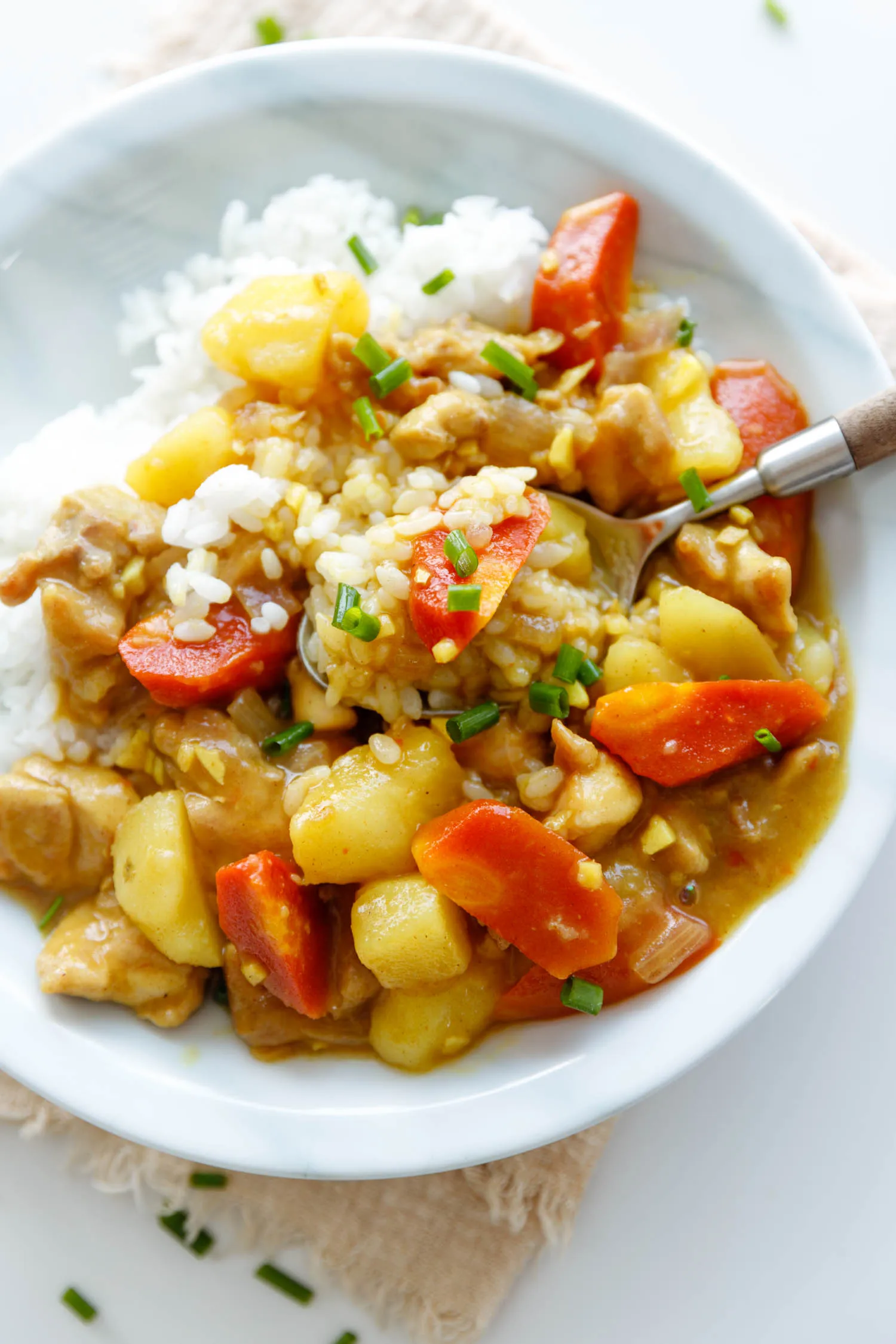 Chinese chicken curry