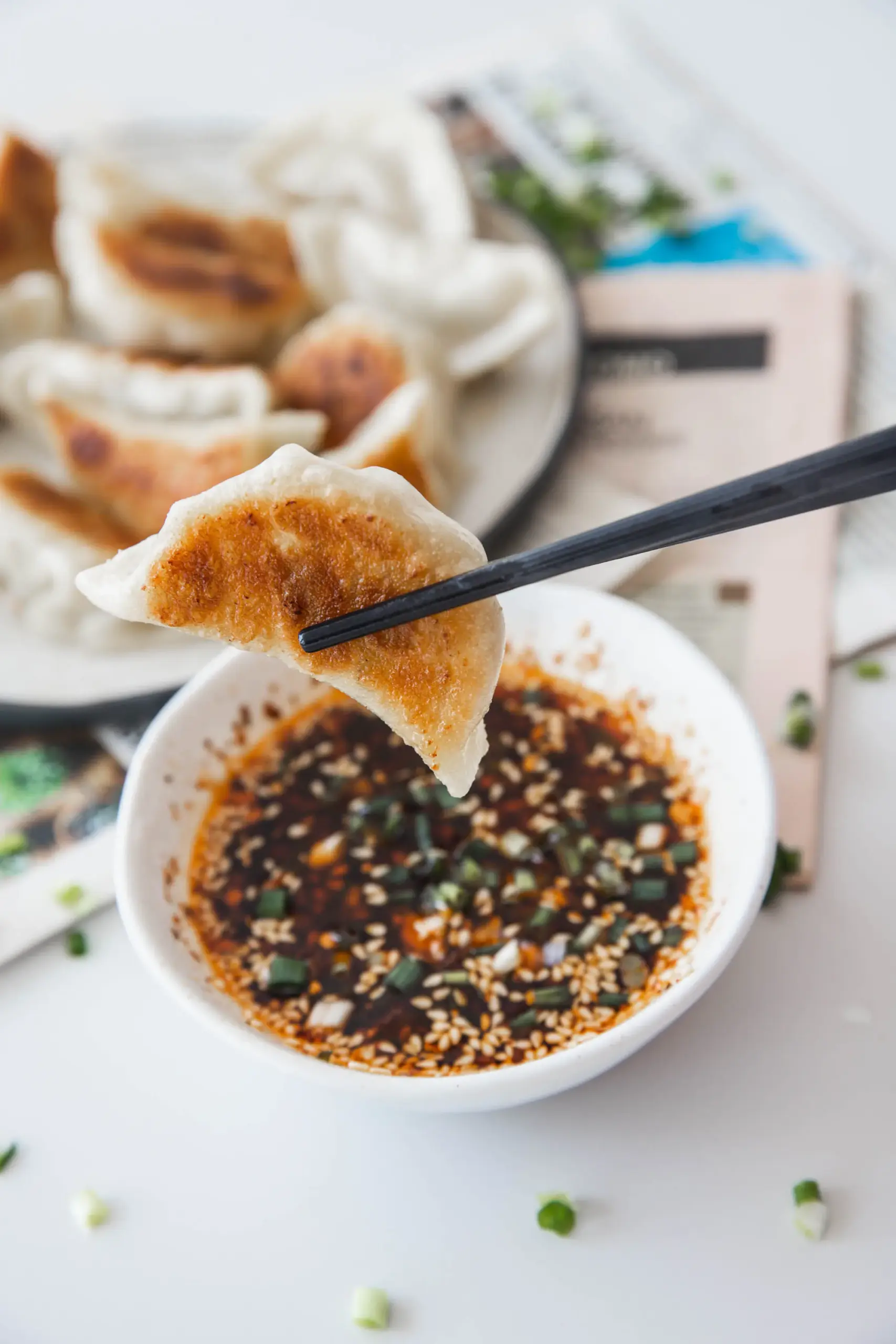 pot potstickers|chinasichuanfood.com