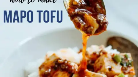 Mapo Tofu Recipe | chinasichuanfood.com
