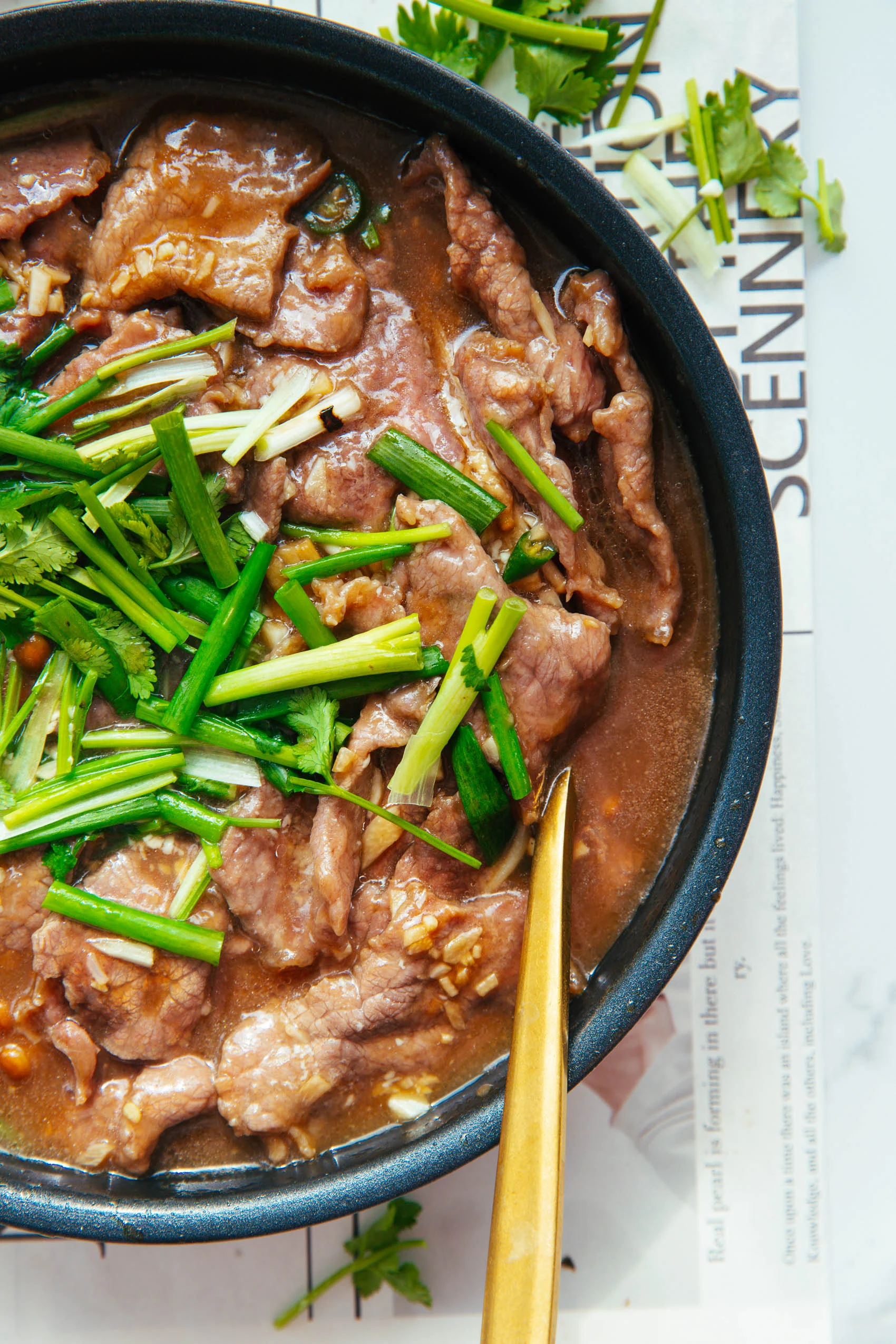 tofu and beef one pot | chinasichuanfood.com