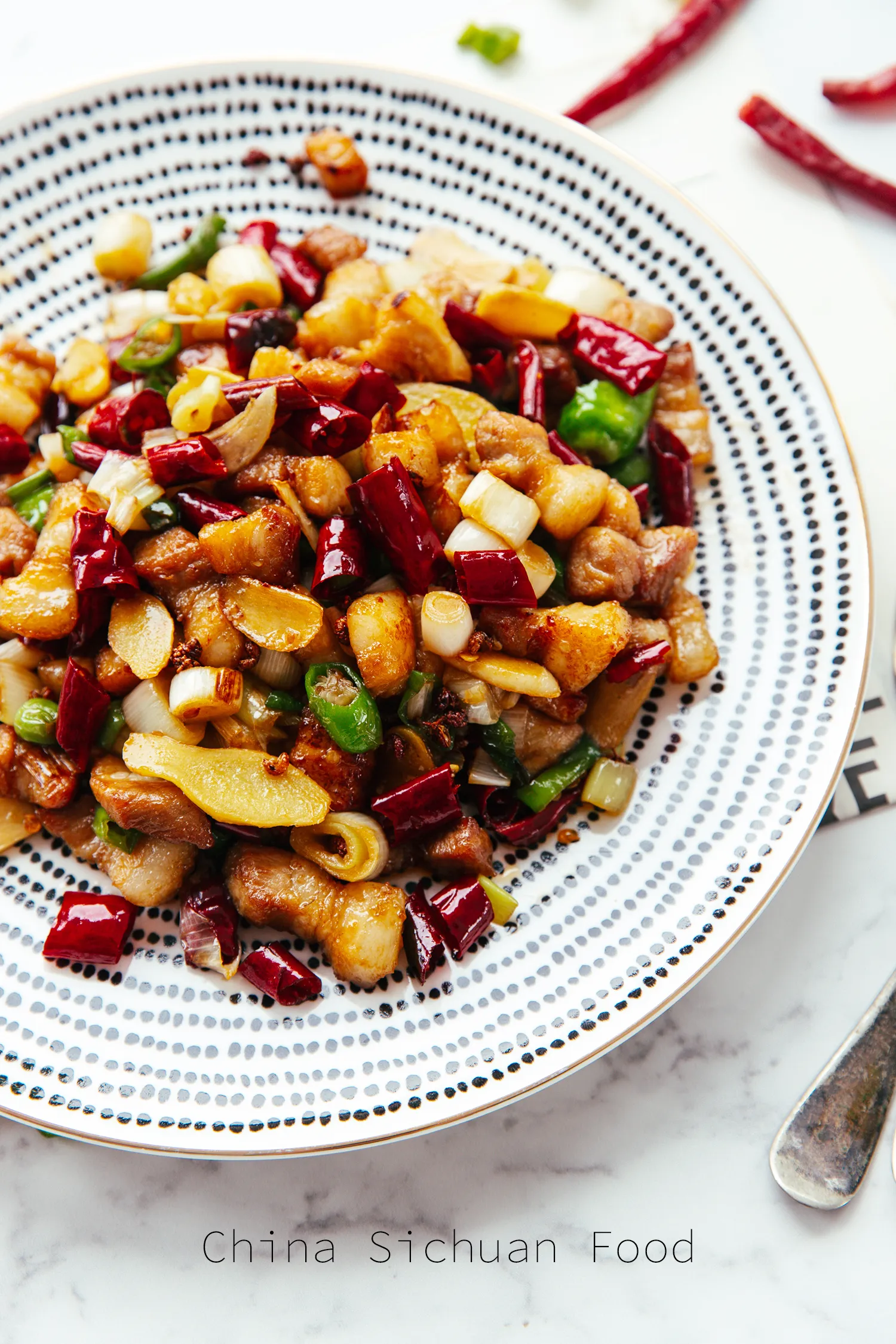 Sichuan Mala Pork Belly | ChinaSichuanFood.com