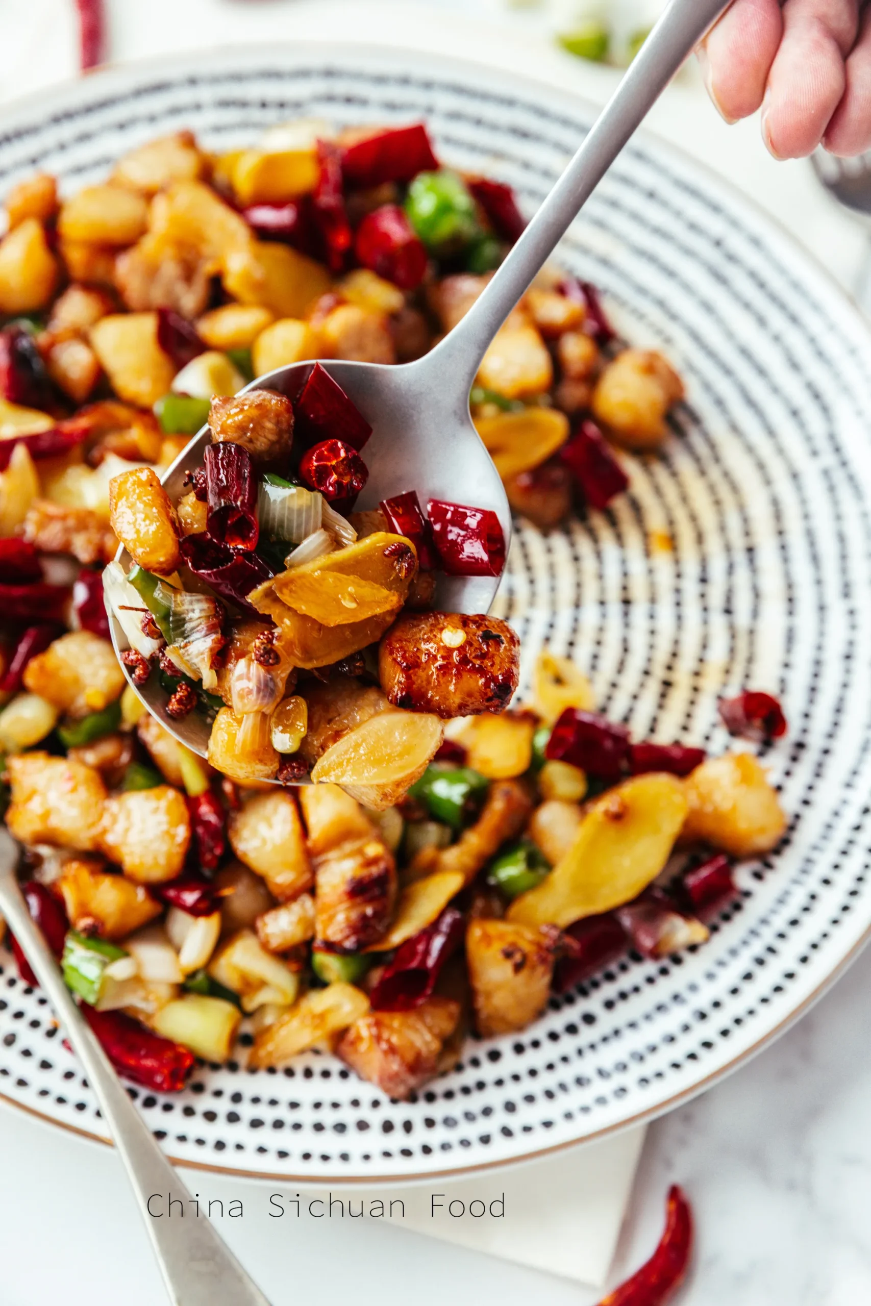 Sichuan Mala Pork Belly | ChinaSichuanFood.com